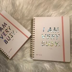 ban.do design 17 Month Large Agenda , Holographic